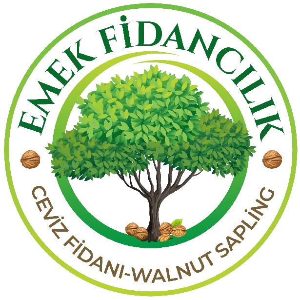 Emek Fidancılık – Certified Walnut & Almond Sapling Production Website